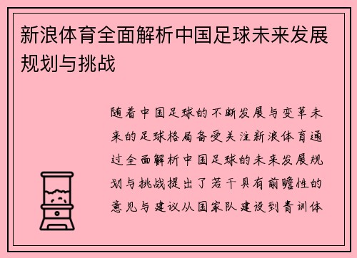 新浪体育全面解析中国足球未来发展规划与挑战